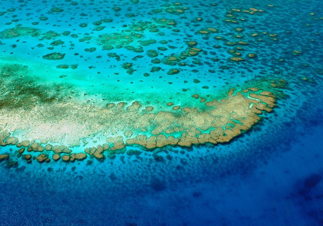 An aerial view of a reef surrounded by a body of water