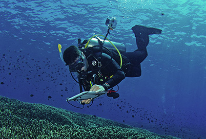 a diver examines coral