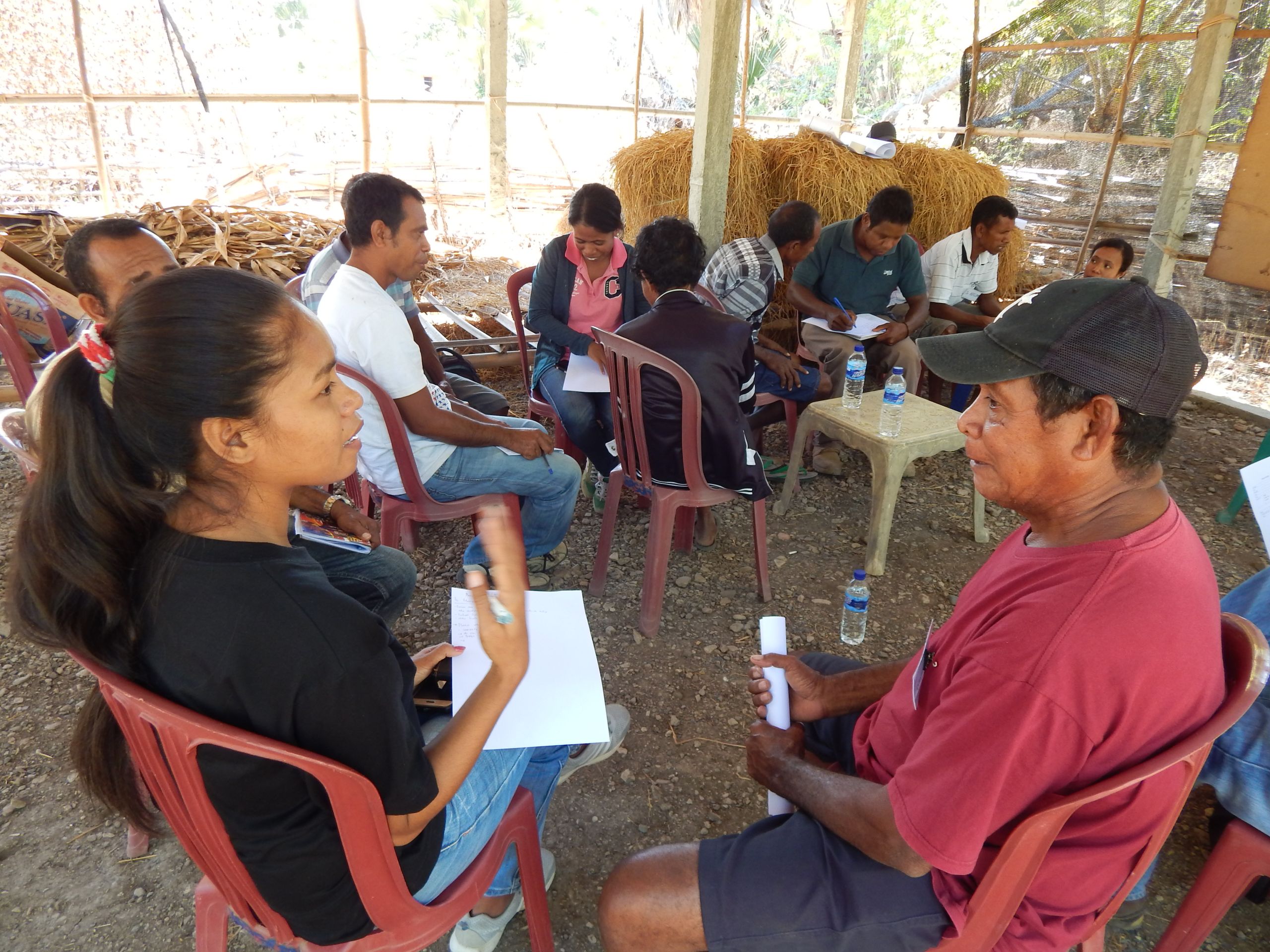 Field researchers and cattle farmers plan research activities in Timor Leste.