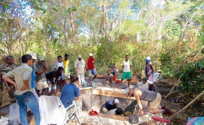 Ancient crops provide clue to Madagascar’s past