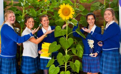 Marymount College - Senior Group C pose with their picture perfect sunflower, winner of the new  “Most Ornamental Sunflower” prize.