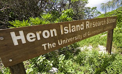 Heron Island