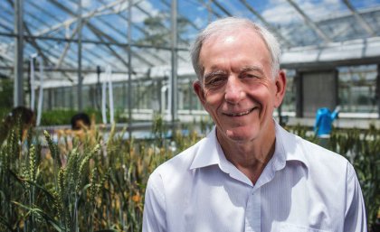 Professor Henry is conducting the first gene-editing experiments to effectively produce biofuels and bioplastics