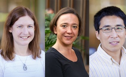 Uq Celebrates New Arc Laureate Fellows Uq News The University Of Queensland Australia