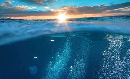 A 3D approach to protecting biodiversity on the high seas - UQ News - The  University of Queensland, Australia