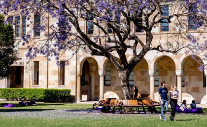 People walking past a jacaranda tree in front of a sandstone building