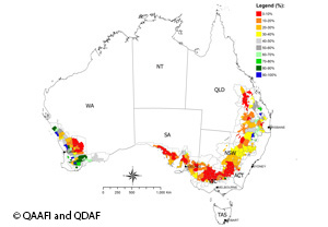 wheat harvest el australia map uq scientist edu slash plant could crop nino queensland nio qaafi