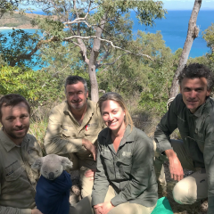 Koala Ecology Group