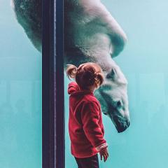 Young girl looking at a polar bear in zoo