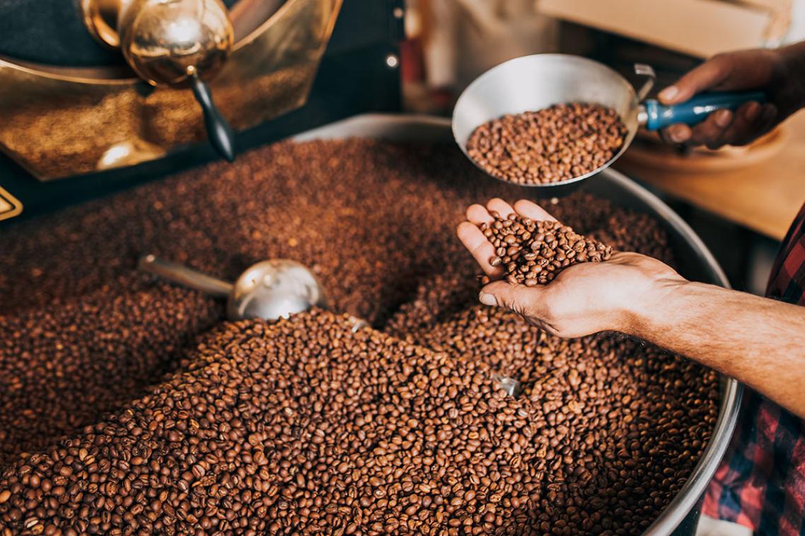 A hand scooping into a large bowl of coffee grinds